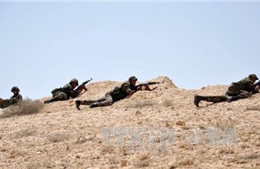 Quân đội Syria tiêu diệt 140 tay súng IS 
